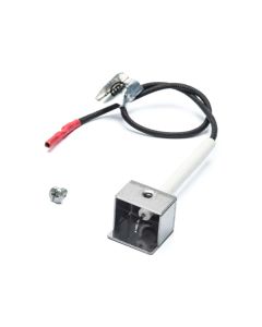 Ceramic Electrode & Wire #G399-0014-01